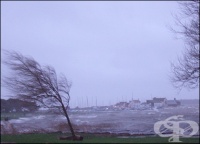 ������� � �������� ������ � ������, ���� ��� ������ ����� �����